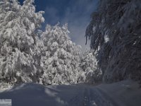 2017-12-29 V. del Morretano 184